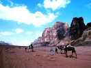 Camel Tour - Wadi Rum Desert Tours
